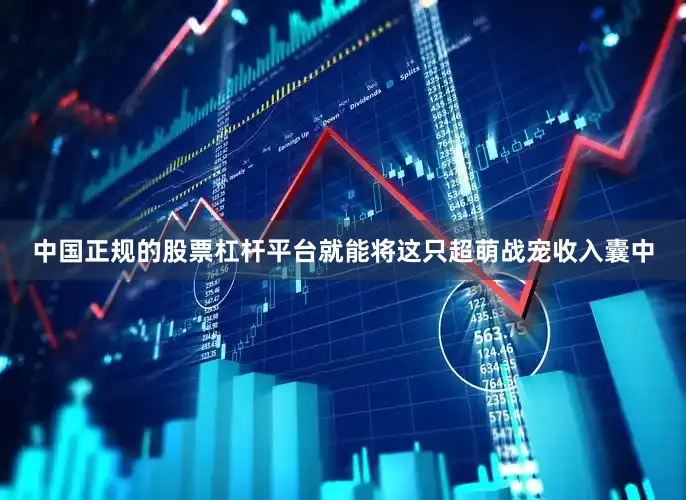 中国正规的股票杠杆平台就能将这只超萌战宠收入囊中